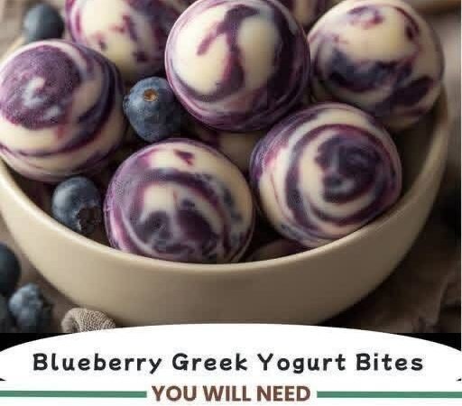 Blueberry Greek Yogurt Bites